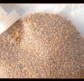 Aqua Plus Dried Daphnia Aquarium Fish Food Aqua Plus Dried Daphnia Aquarium Fish Food